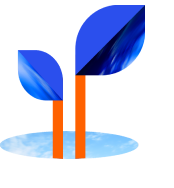 Illustration d'une plante qui pousse